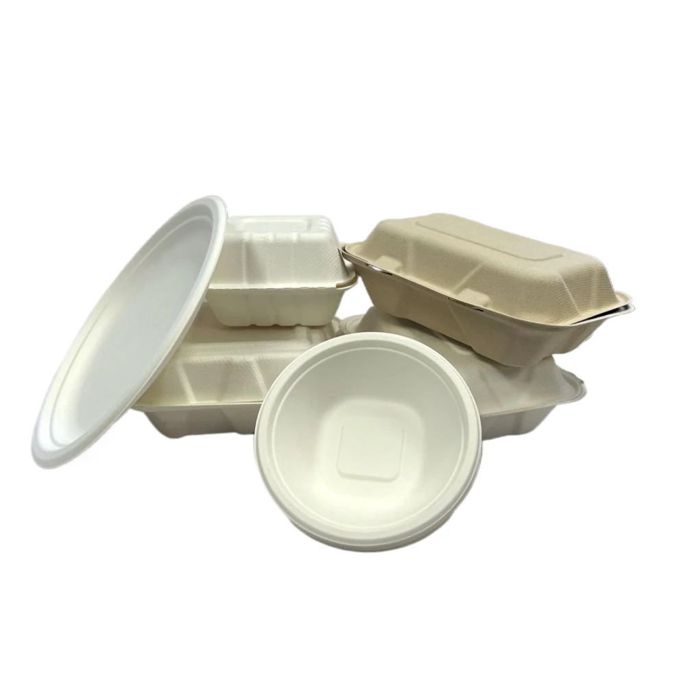 Bagasse Products