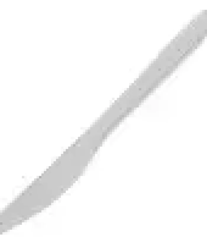 Chartland – Compostable Plastic Knife – 1000/Cs