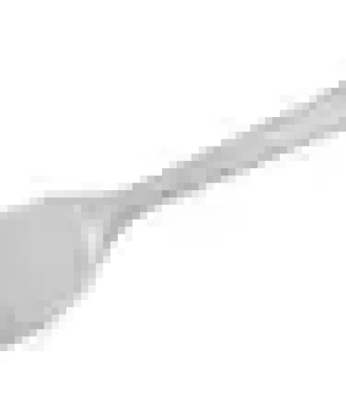 Chartland – Compostable Plastic fork – 1000/Cs